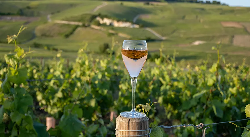 Розовое игристое создают из трех сортов винограда: пино-нуар, менье и шардоне