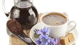 Цикорий: польза и вред, полезные свойства, рецепты, кофе из цикория 