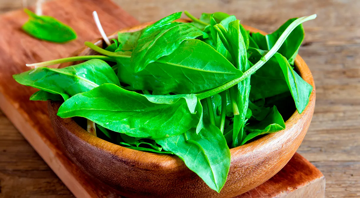 Как заготовить щавель на зиму: 5 надежных способов