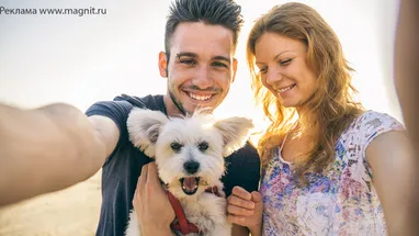 Куратор, опекун, автоволонтер: самые разные способы помощи приютам для животных