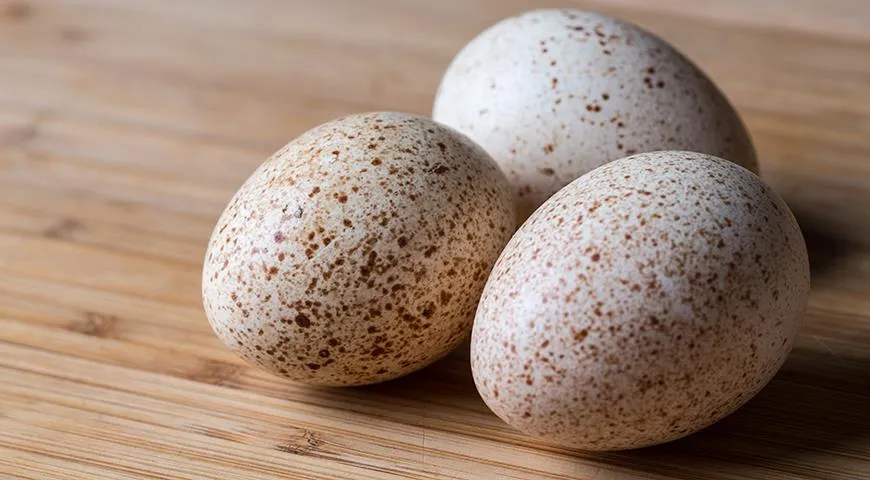 Индюшиные яйца варят также, как и куриные