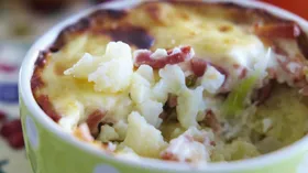 Рецепты с твёрдыми сырами, сметаной и мясной гастрономией
