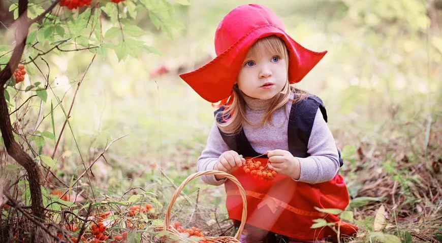 Детский праздник "Красная шапочка"