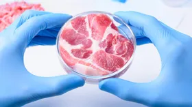 Ученые сделали мясо из пластиковой пленки
