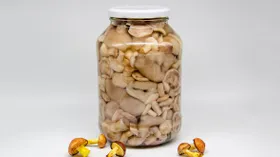 Соленые маслята