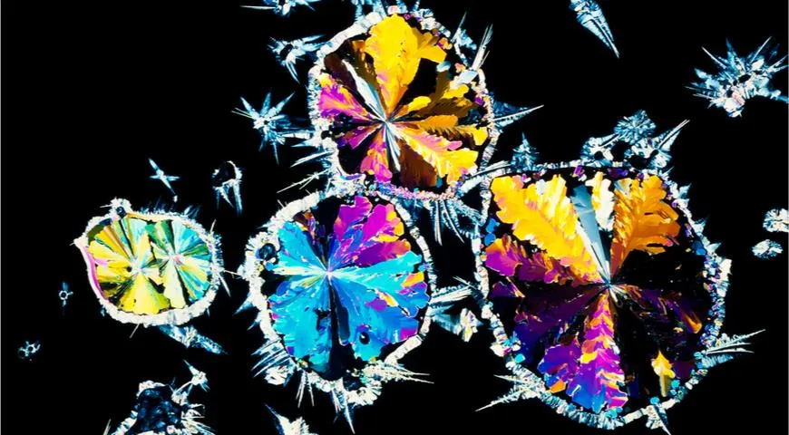 Кристаллы лимонной кислоты под микроскопом