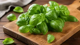 Вкус, польза и эстетика — ученые описали уникальные свойства базилика
