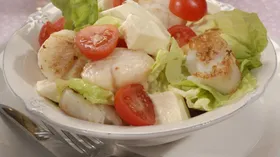 Рецепты с маслом растительным, лимоном и сыром Моцарелла