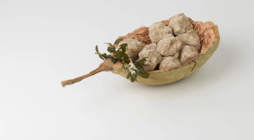 Блюдо Марго Янсе — конфеты из плодов баобаба с множеством местных трав и цветов и попкорном из сорго.