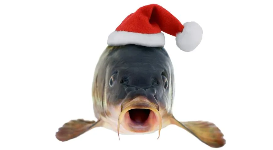В ряде европейских стран карп – рыба ритуальная, специальным образом приготовляемая на Рождество