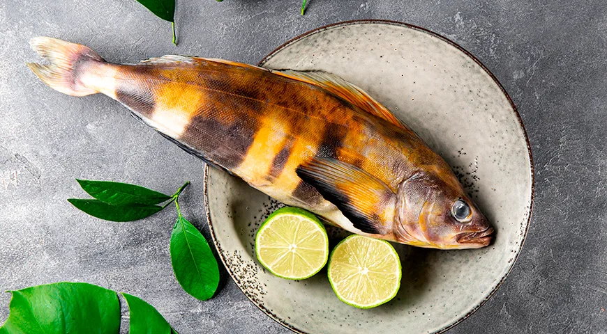 В конце лета и начале осени мясо терпуга становится особенно вкусным за счет сезонного кормового рациона