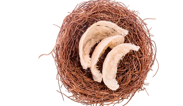 Ласточкины гнезда