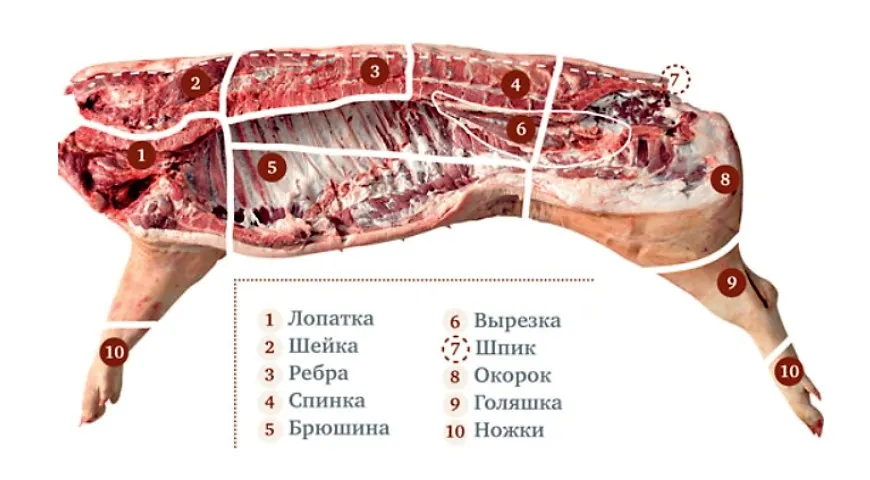 Базовая схема разделки свиньи с названиями отрубов свинины