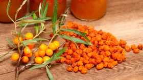 Ягоды или листья: названа польза облепихового чая