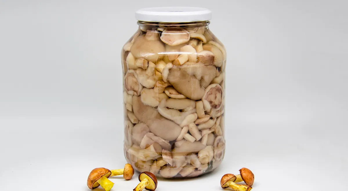 Соленые маслята