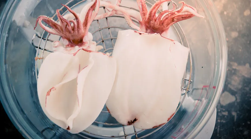 Узнать, сварился кальмар или нет, можно по его цвету: если тушка побелела, значит, моллюск готов