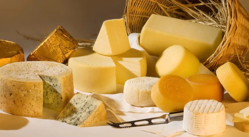 Жирность сыра - описание продукта, как выбирать, как готовить, читайте ...