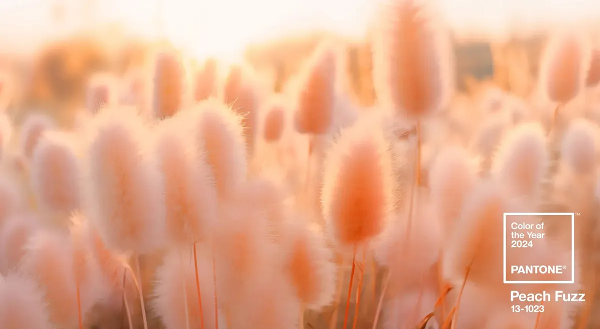 Ты мой персик: Институт цвета Pantone назвал главный цвет 2025 года