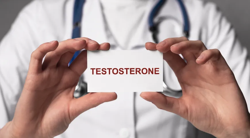 Тестостерон влияет не только на половую сферу, но на многие стороны работы организма 