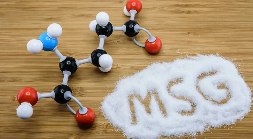 В англоязычных источниках глутамат натрия обозначается аббревиатурой MSG (Monosodium glutamate)