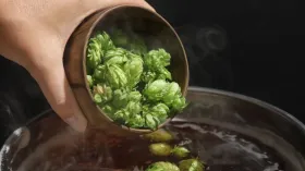 Хмелевая вода: что это за напиток и как он стал альтернативой пиву