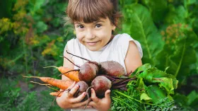 Как заставить детей есть овощи
