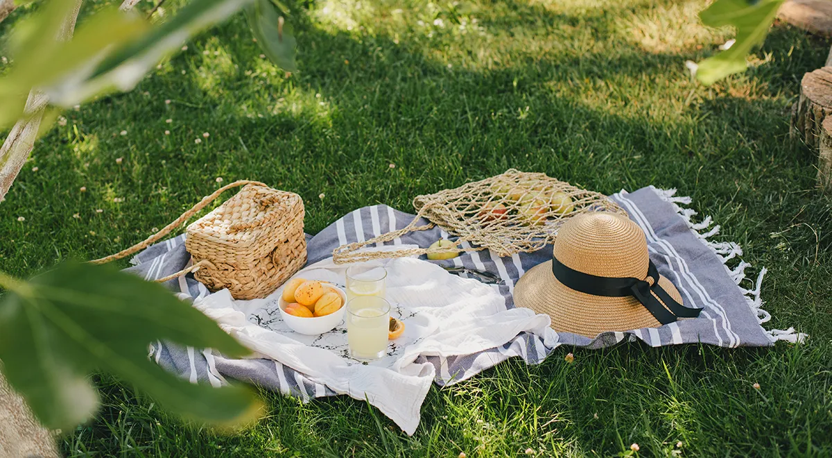 Едем на пикник! Какие продукты взять с собой