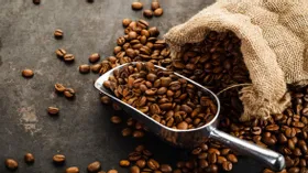 Эксперт объяснил, почему латте и капучино не исчезнут после запрета Эфиопии на вывоз кофе