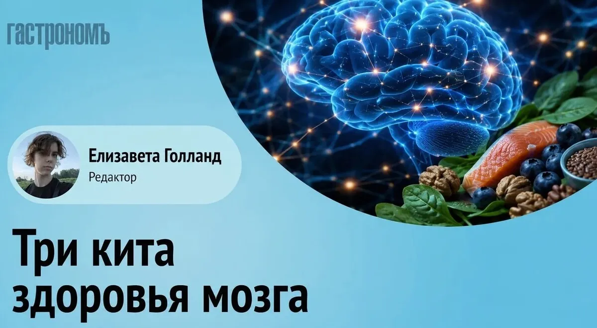 Невролог напоминает: рыба, темные ягоды и орехи — три кита здоровья мозга