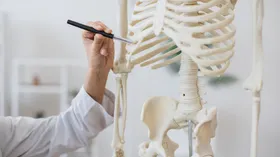 Ученые нашли неожиданный «сладкий» продукт для укрепления костей