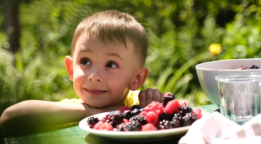 Ягоды и фрукты – отличный полезный перекус для детей, их можно кушать в свежем виде или использовать для приготовления напитков и десертов