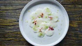Рецепты с маслом оливковым, соусами и бобовыми