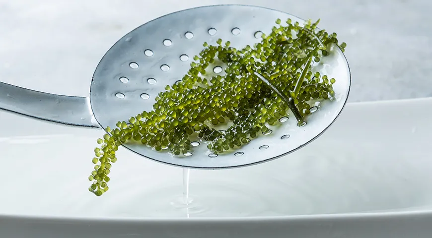 Когда сушеный морской виноград набухнет, слейте воду и аккуратно промойте под струей прохладной воды