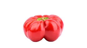 Перец Гогошар