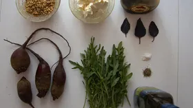 Рецепты с сырами, свёклой и рукколой