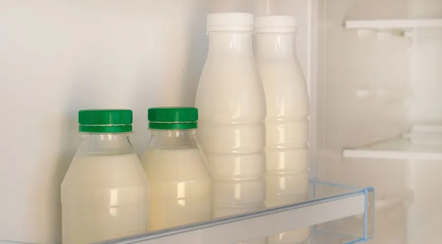 Хранить тан нужно в холодильнике не дольше 2–3 суток, чтобы сохранились его вкус и полезные свойства