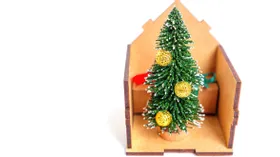 Как выбрать новогоднюю елку для дома, учитывая размер квартиры и еще 2 фактора