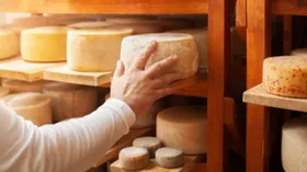 Как отличить настоящий сыр от сырного продукта: эксперты раскрыли некоторые секреты