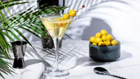 Вермут: все о вине на травах — из чего делают и как правильно пить