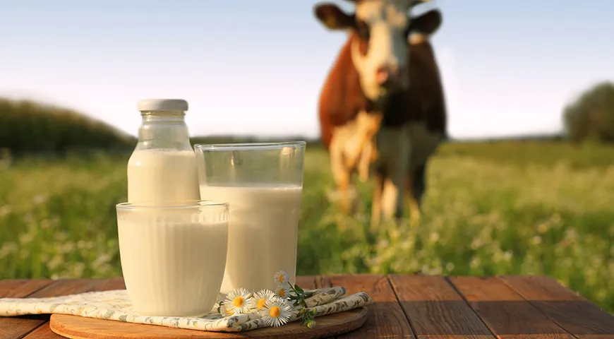 Если сомневаетесь, какой жирности молоко лучше выбрать для кофе, ориентируйтесь на 3–3,2%