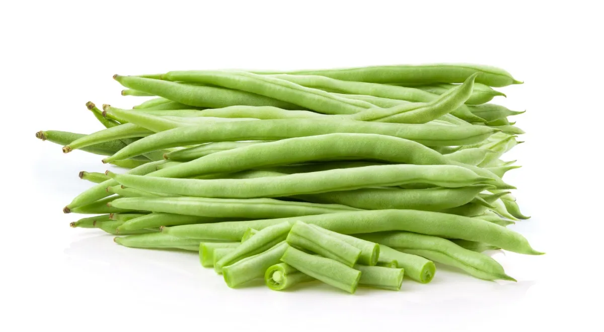 Стручковая зеленая фасоль
