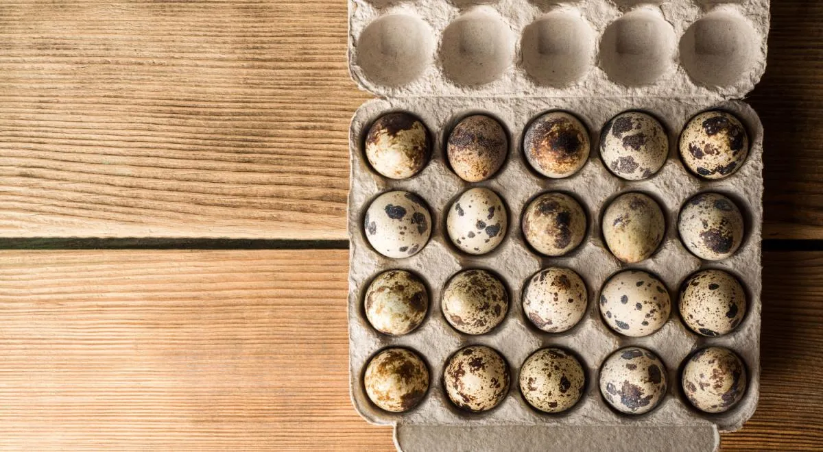 Лучше всего хранить перепелиные яйца в холодильнике