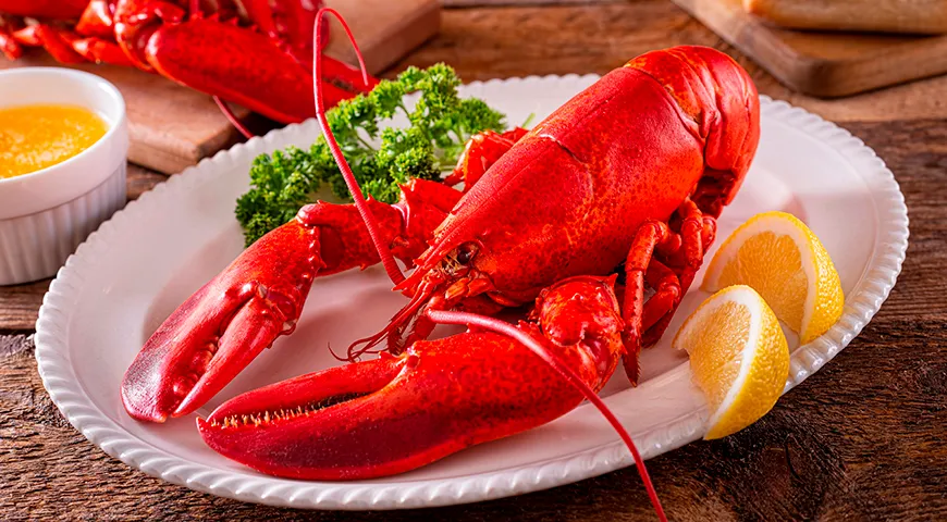 У омара одна клешня толстая («дробильная»), другая поменьше, но более острая («режущая»)