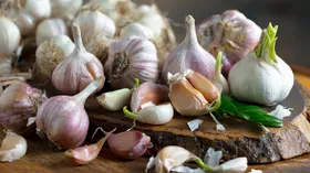 Сколько зубчиков чеснока можно съедать в день и как правильно употреблять в лечебных целях