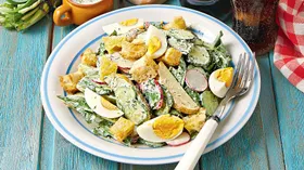 Рецепты с кисломолочными продуктами, редисом и укропом
