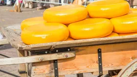 На российских прилавках появятся иранские сыры