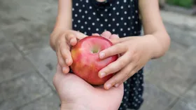 8 правил детского питания