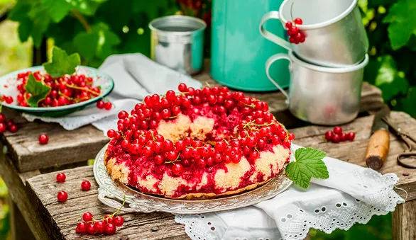 12 лучших рецептов из красной смородины в этом сезоне