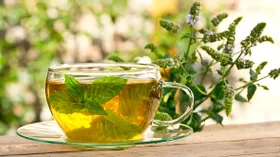 10 полезных свойств чая с мятой