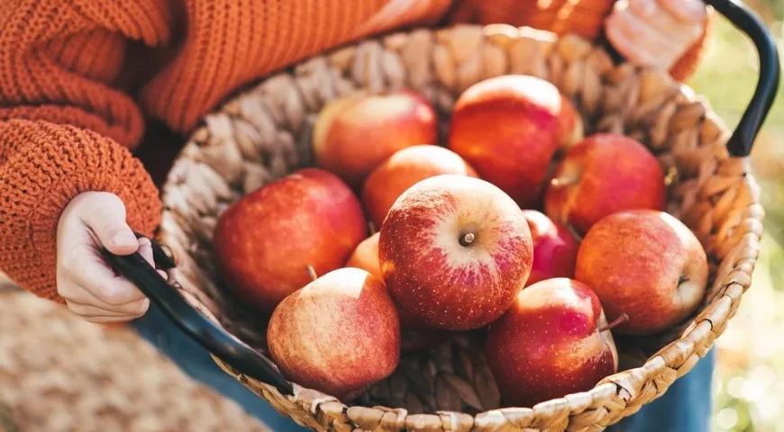 Яблоки полезны для иммунитета и пищеварения ребенка 
